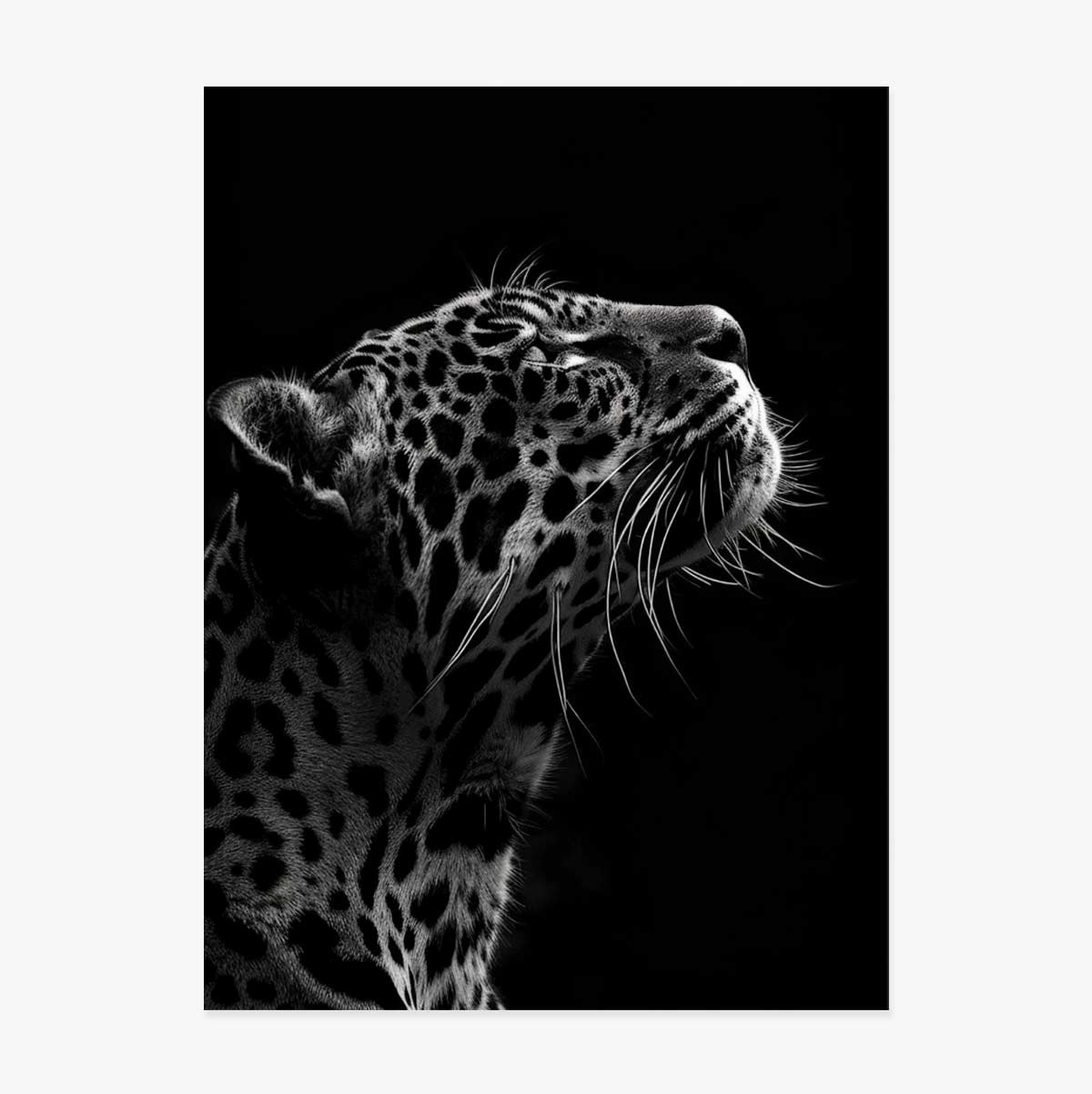 Poster Jaguar in bianco e nero