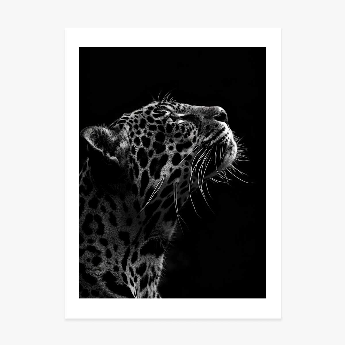 Poster Jaguar in bianco e nero