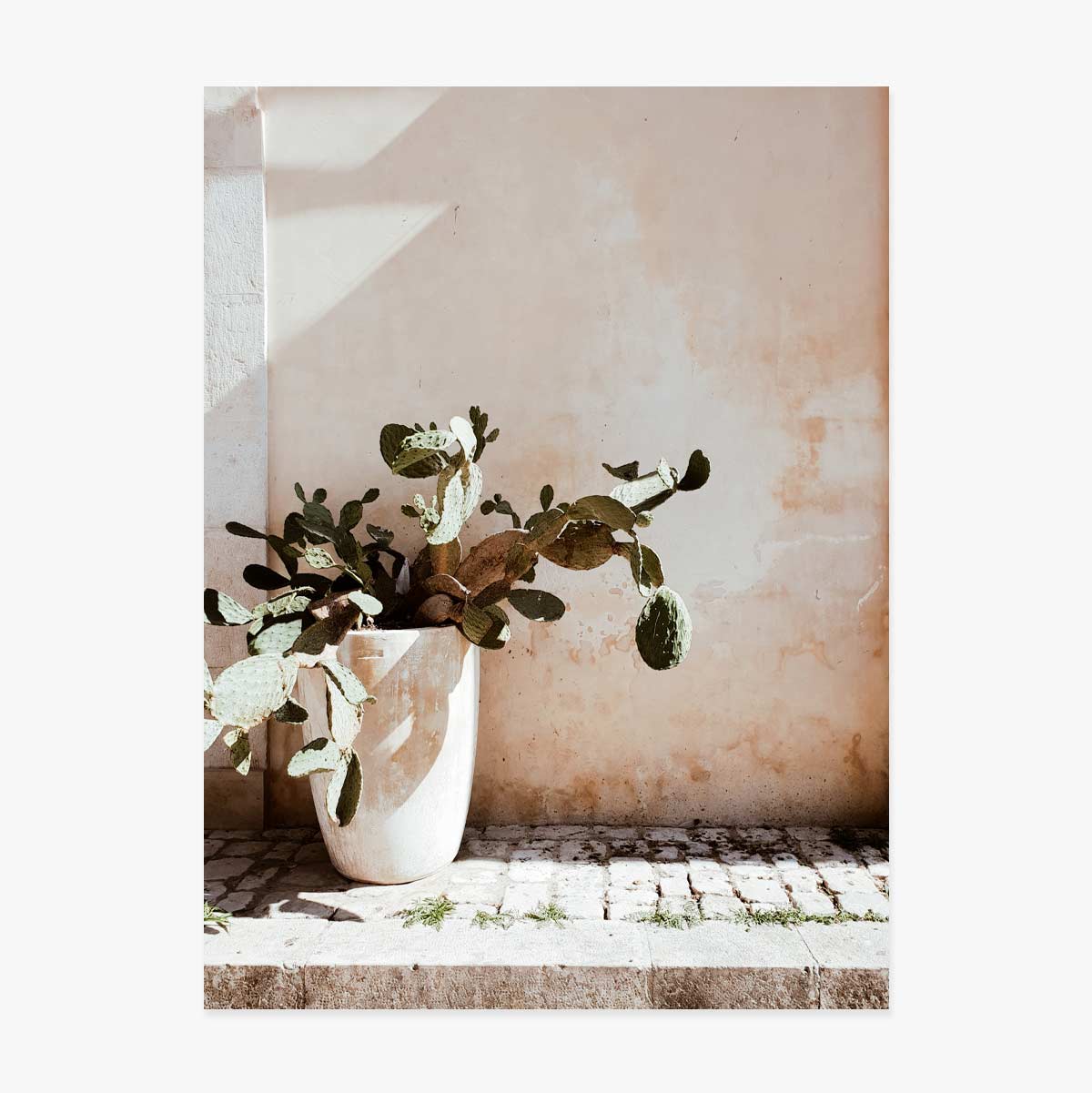 Poster “Cactus”