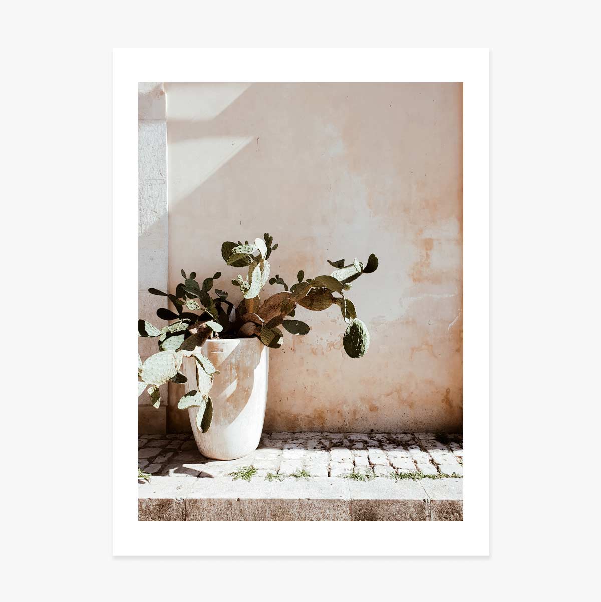 Poster “Cactus”