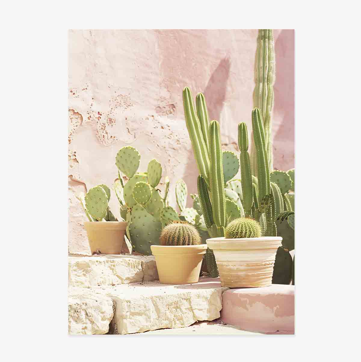 Poster “Cactus”