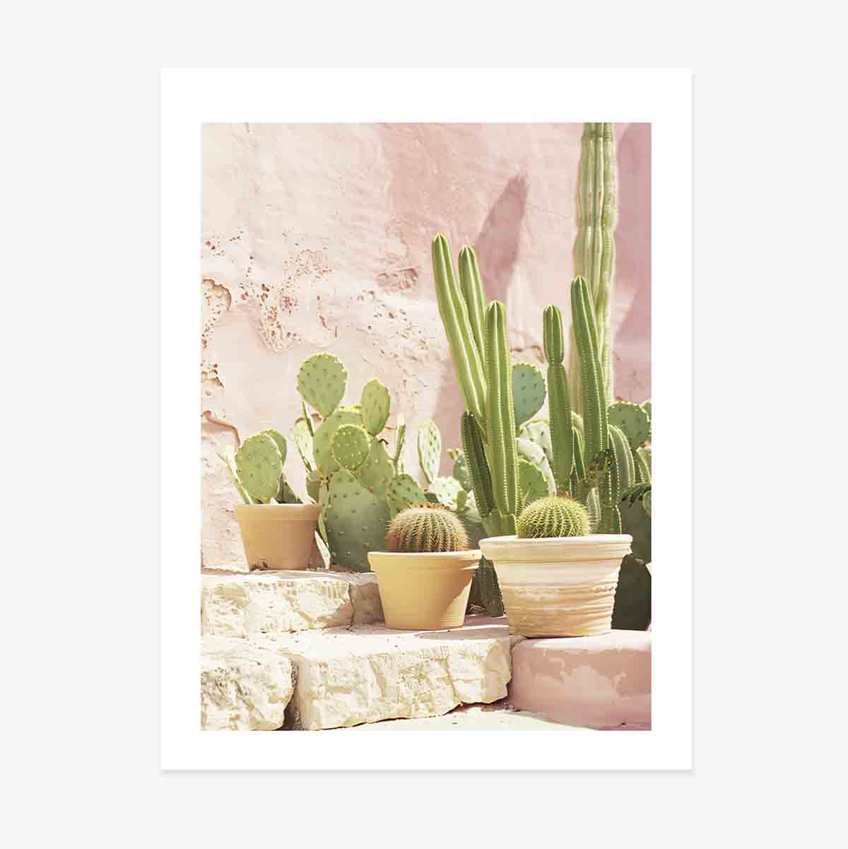Poster “Cactus”