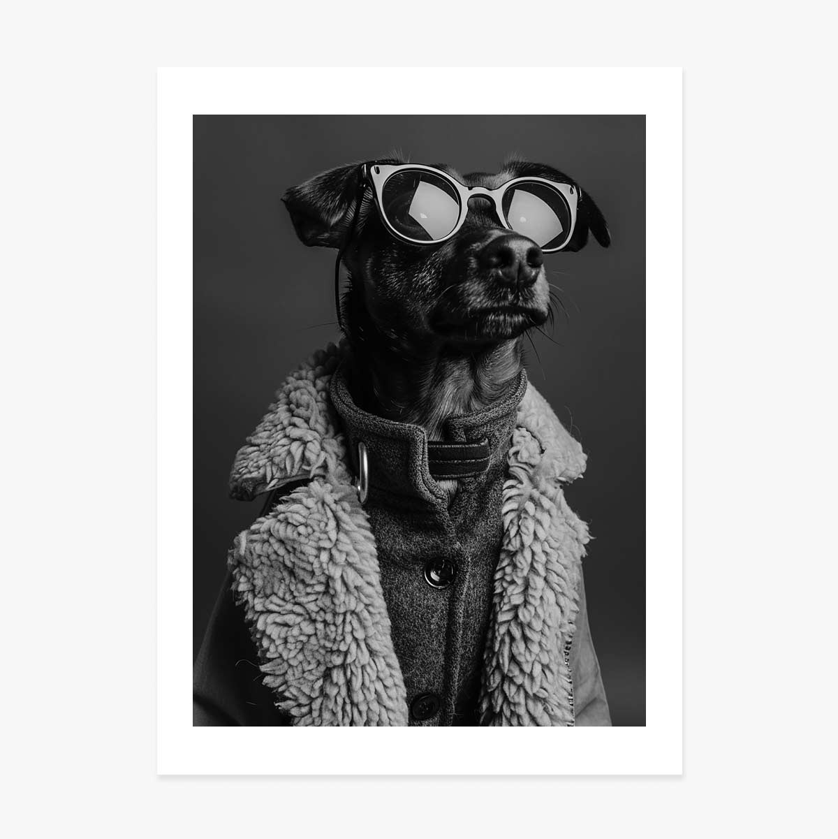 Poster con un cane