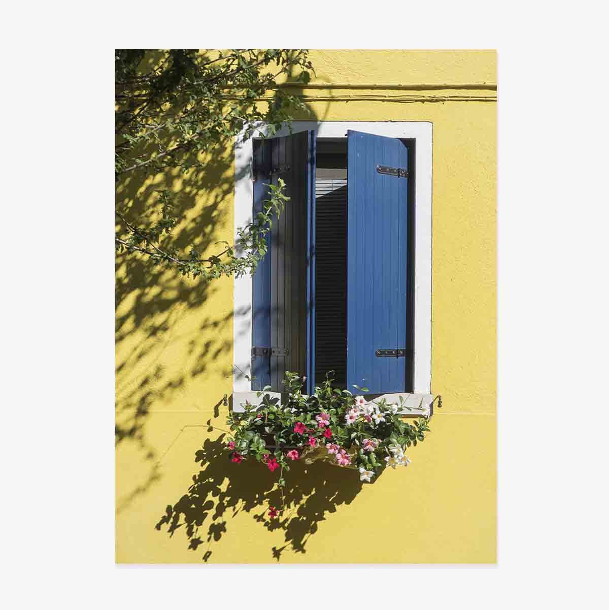 Poster “Finestra blu con fiori”