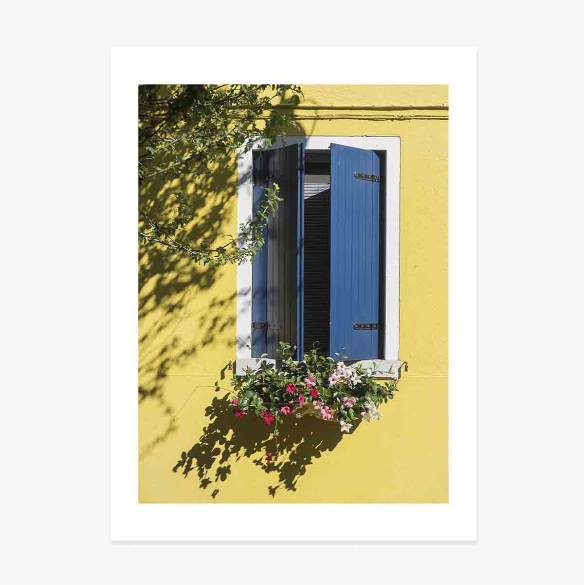 Poster “Finestra blu con fiori”