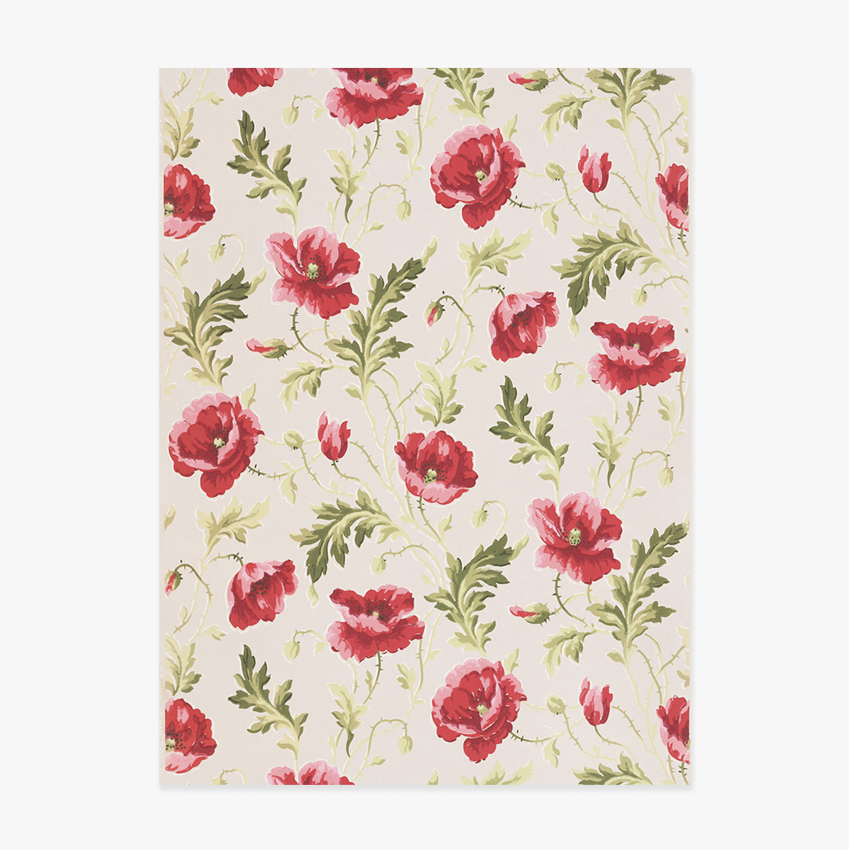 Poster con fiori rosa