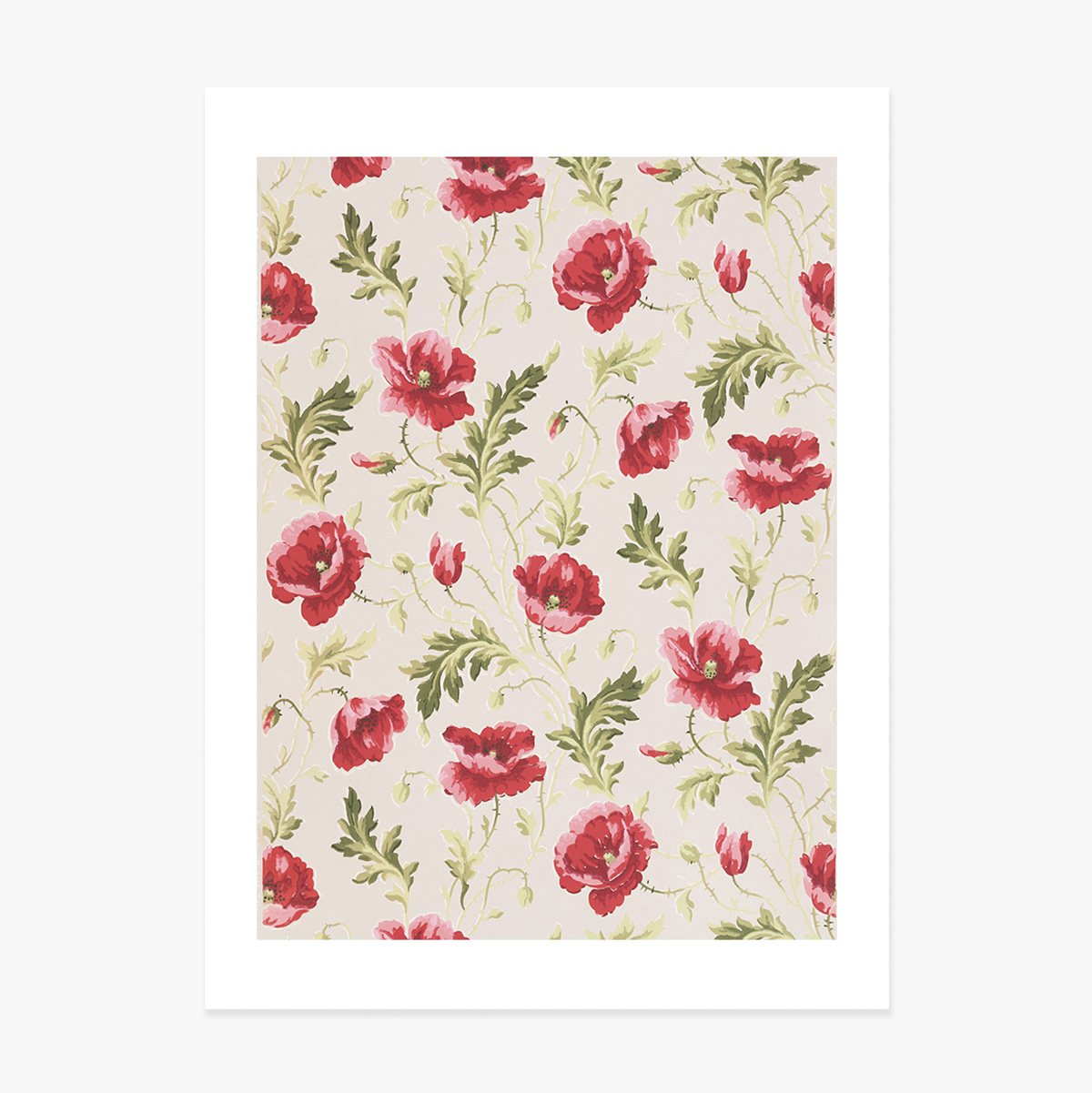 Poster con fiori rosa