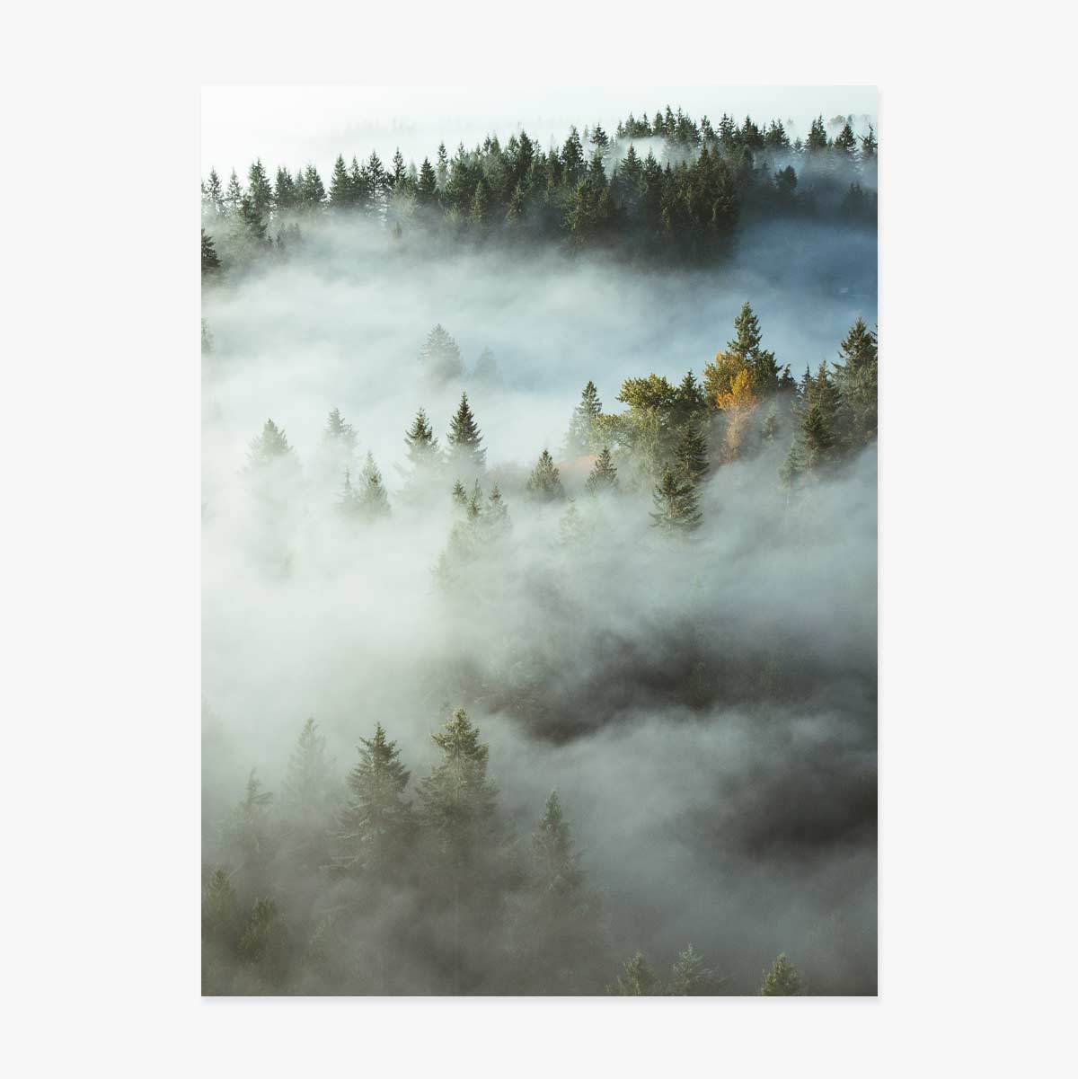 Poster “Foresta nella nebbia”