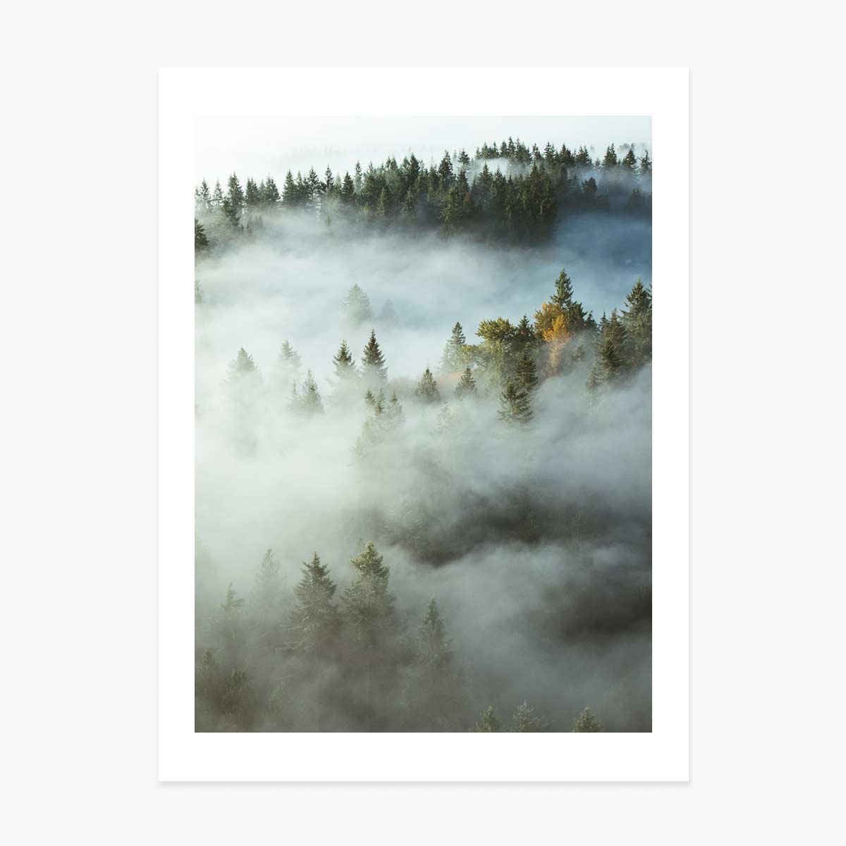 Poster “Foresta nella nebbia”