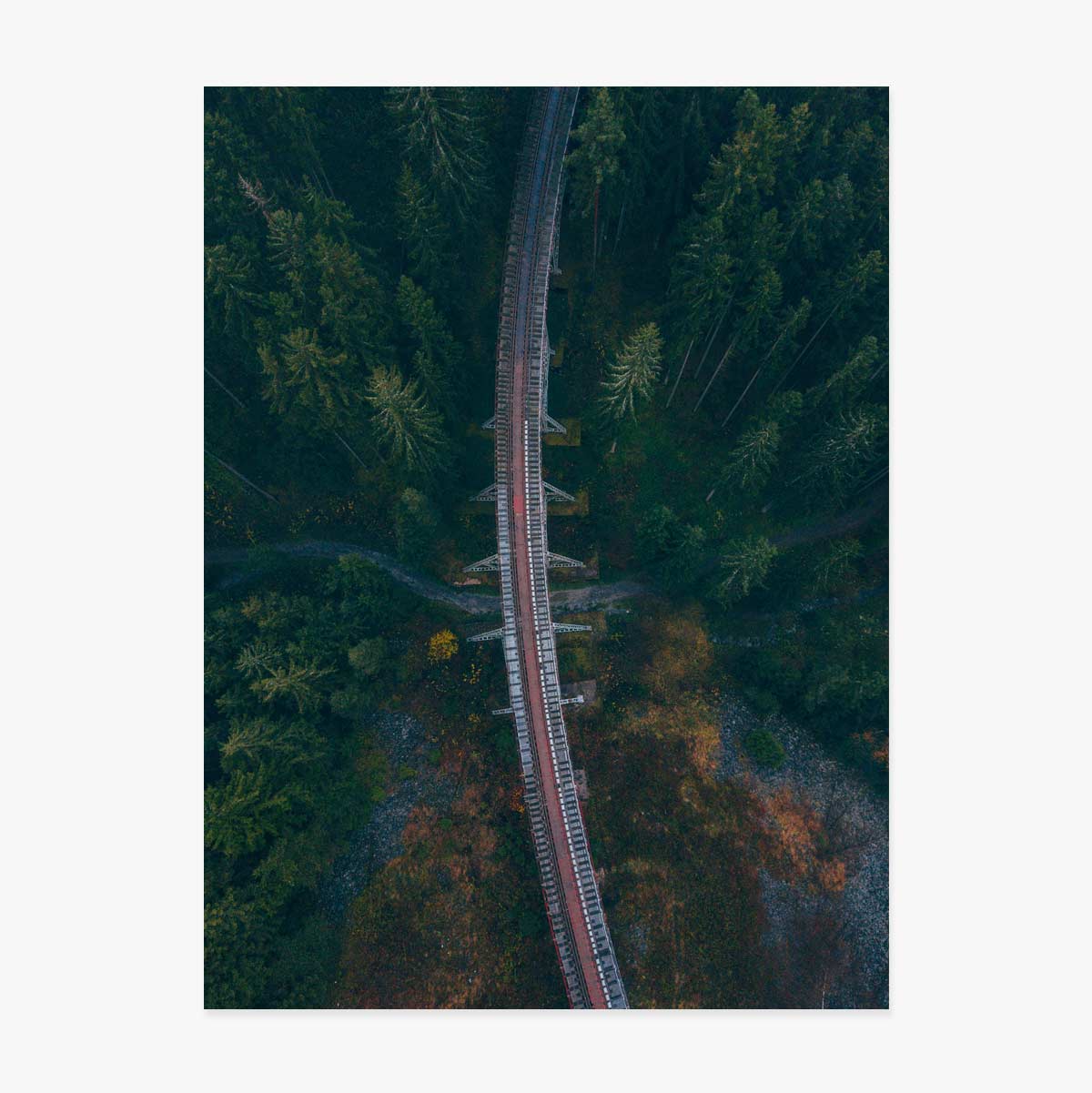 Poster “Forest”