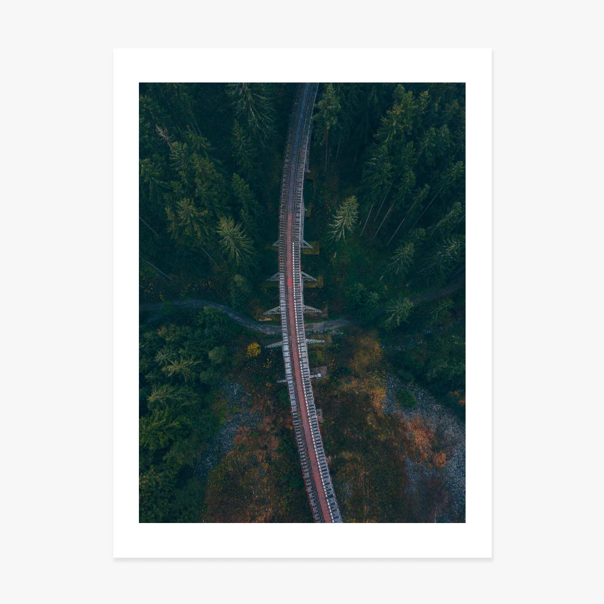 Poster “Forest”