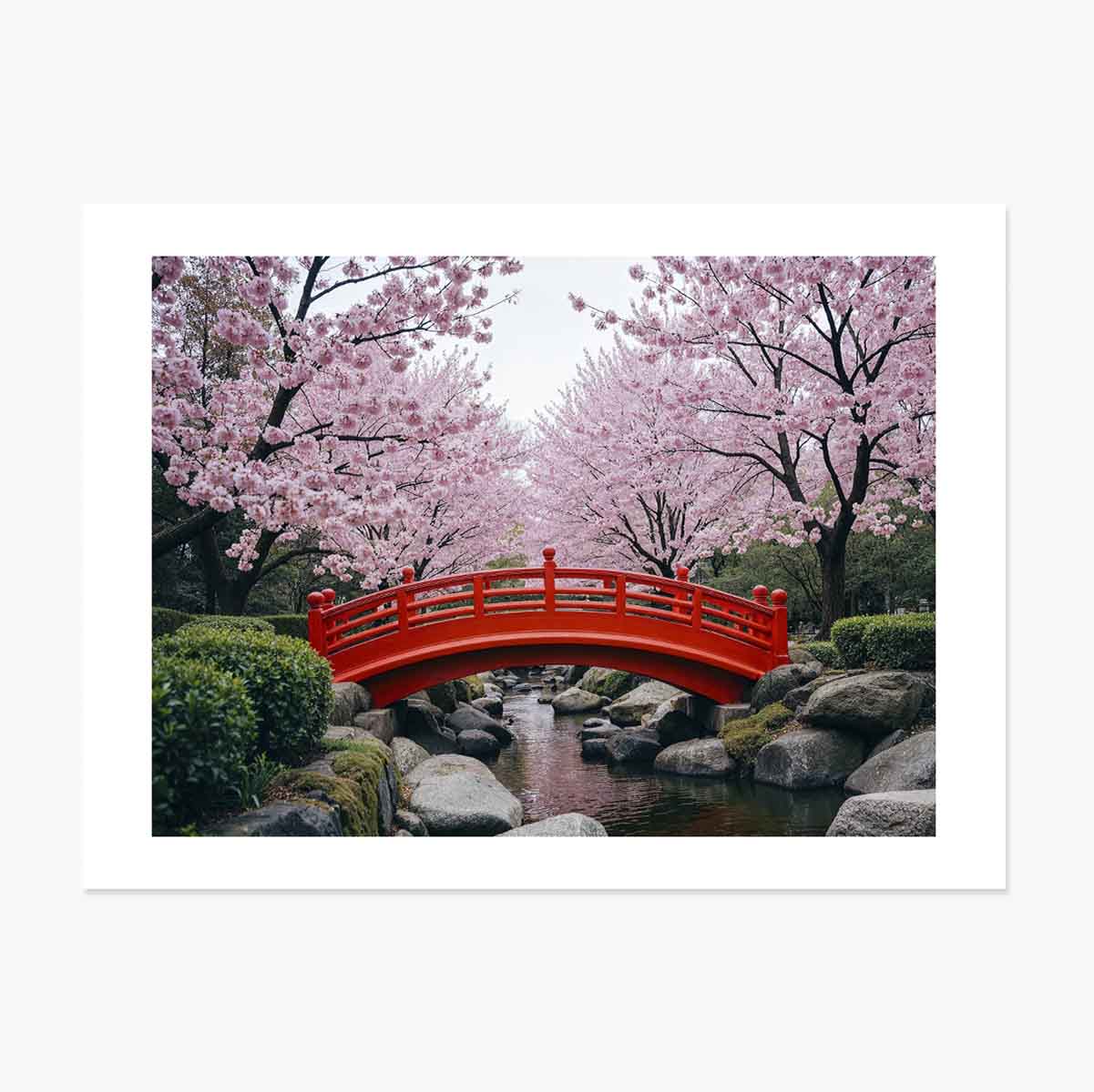 Poster “Giardino giapponese” – Ciliegi in fiore