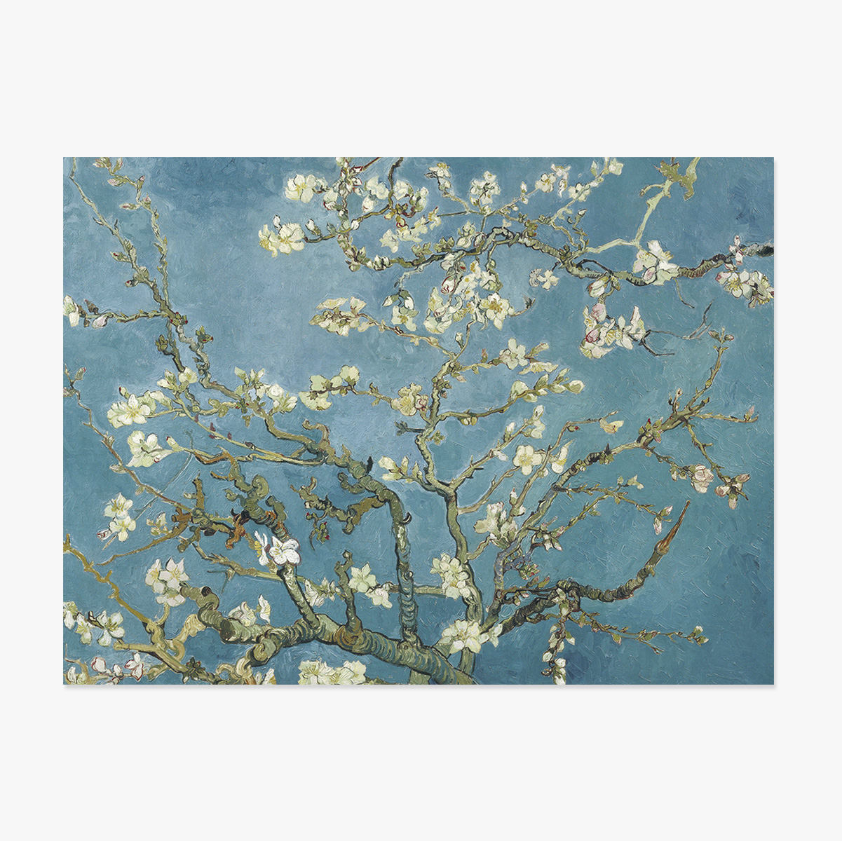 Poster in formato orizzontale - Vincent Van Gogh - Rami di mandorlo in fiore, 1890