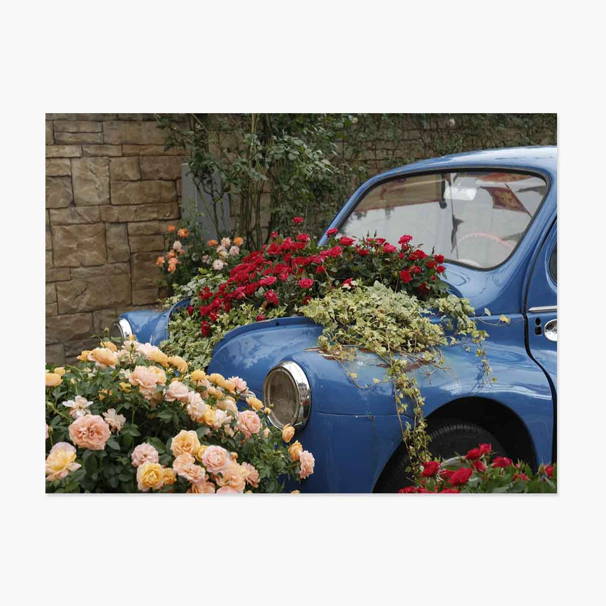 Poster: auto blu vintage con fiori