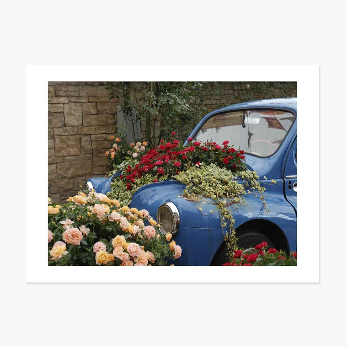 Poster: auto blu vintage con fiori