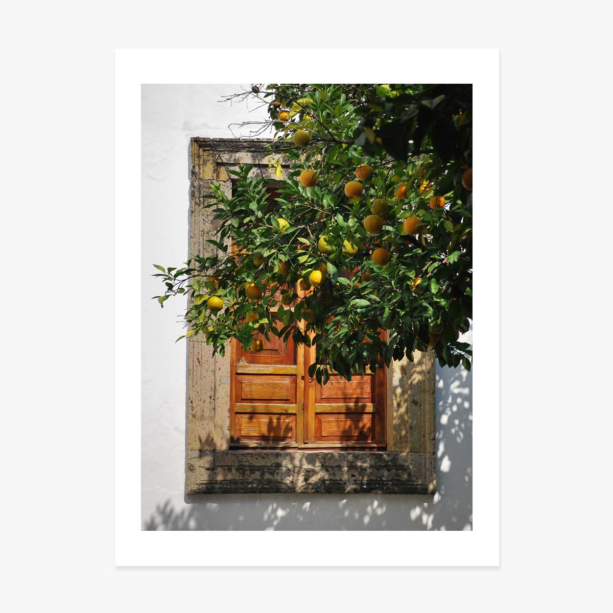 Poster “Orange tree”