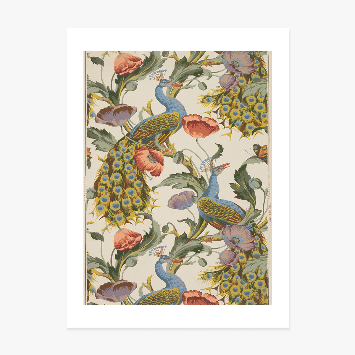 Poster vintage con pavoni e papaveri