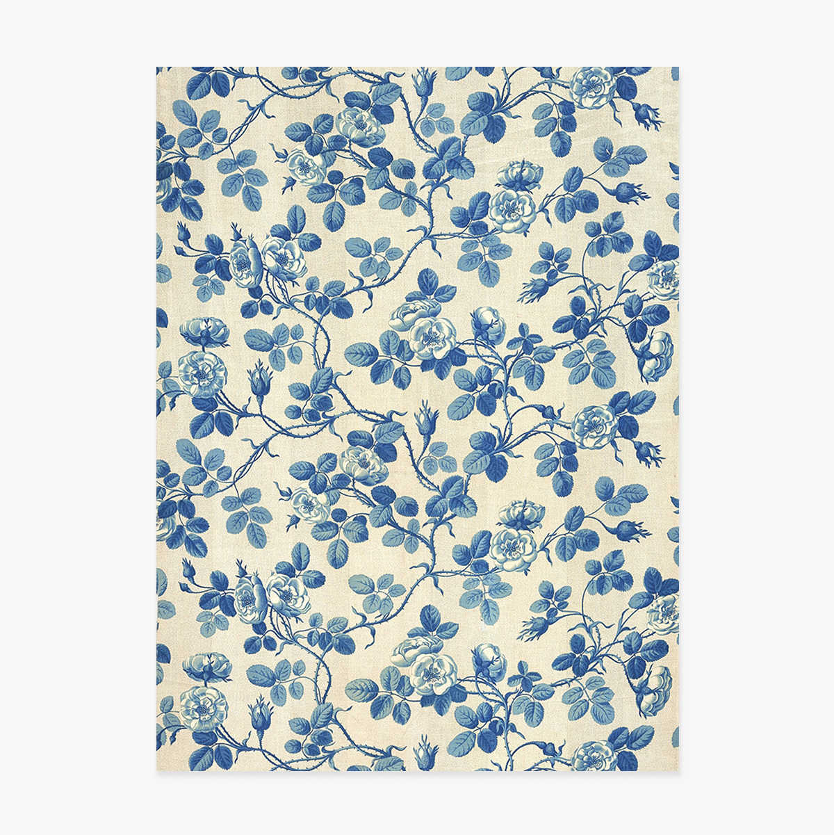 Poster “Piante blu”