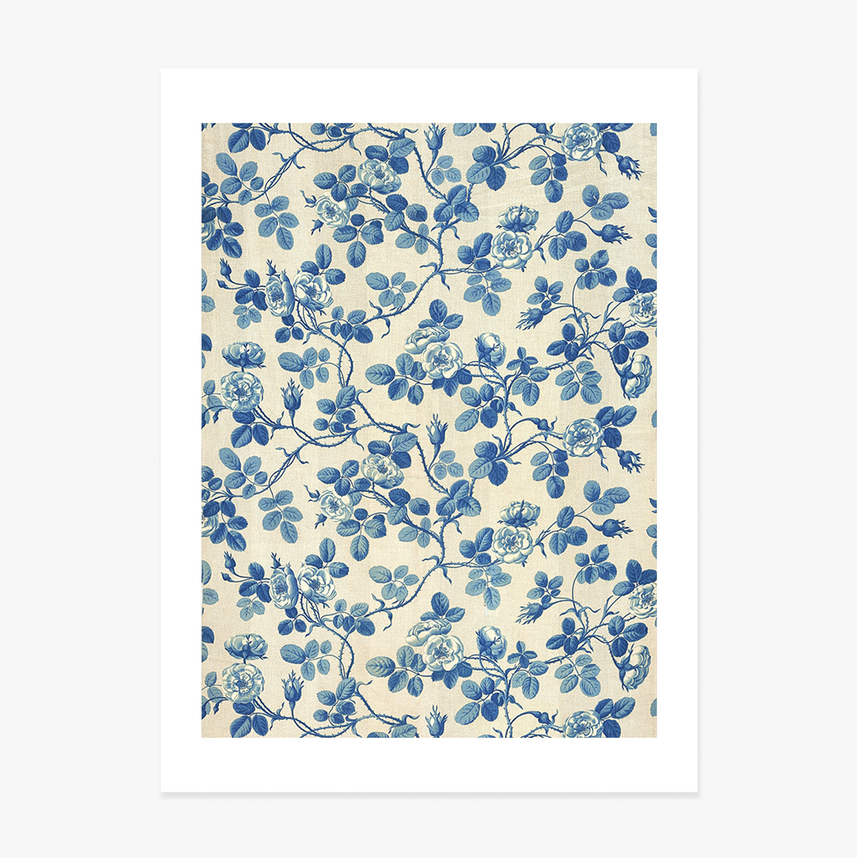 Poster “Piante blu”