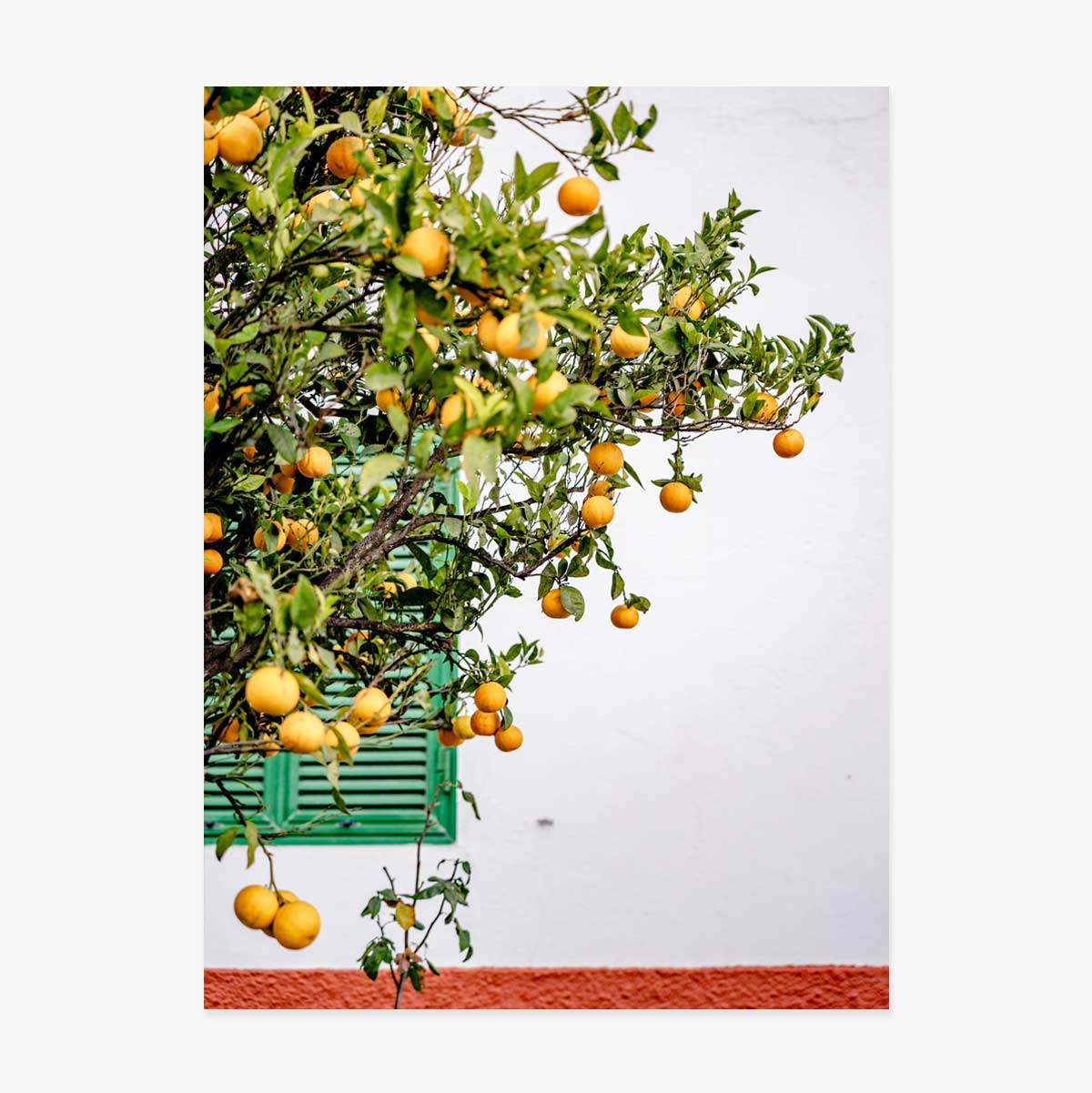 Poster “Tangerines”
