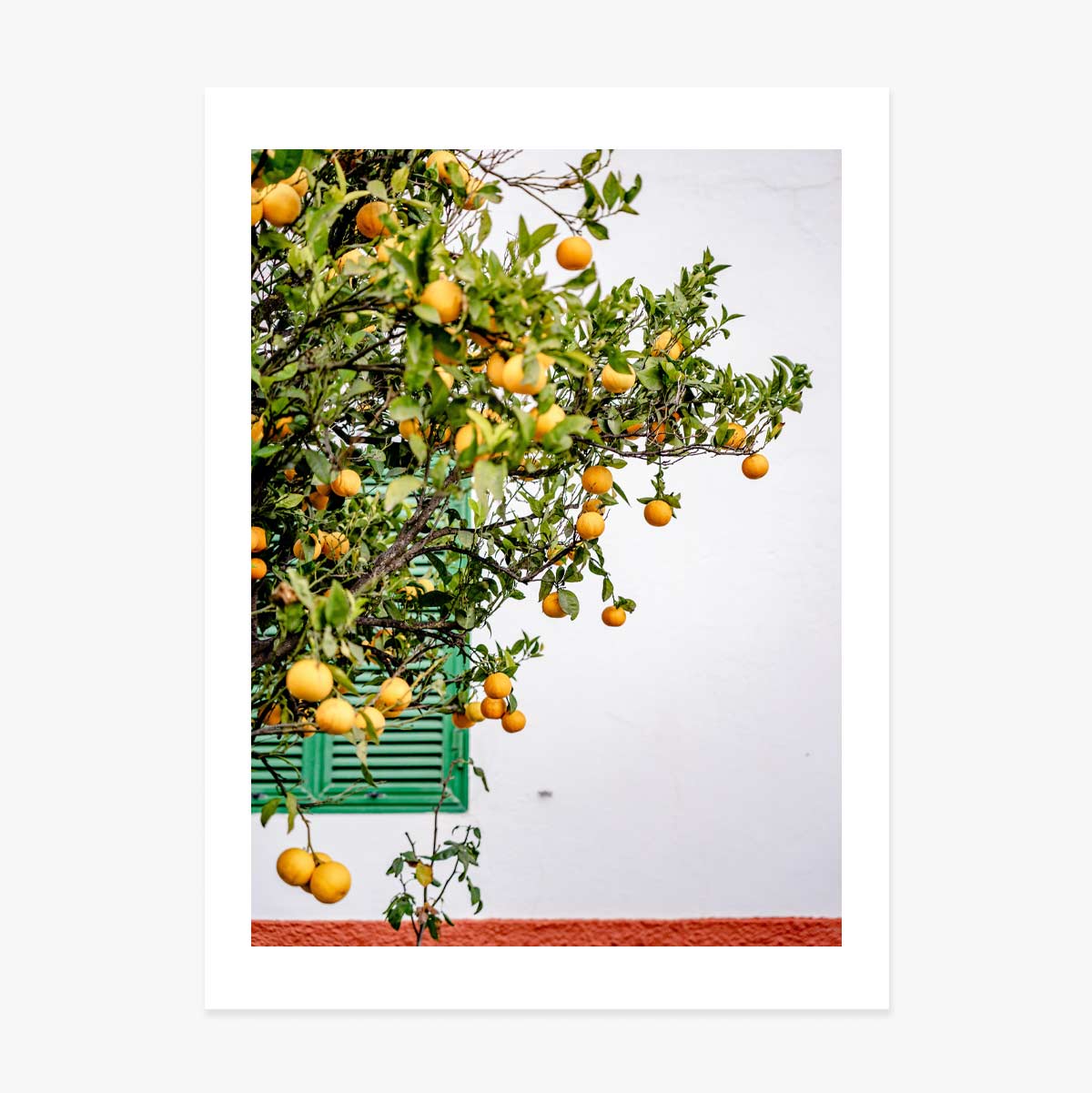 Poster “Tangerines”