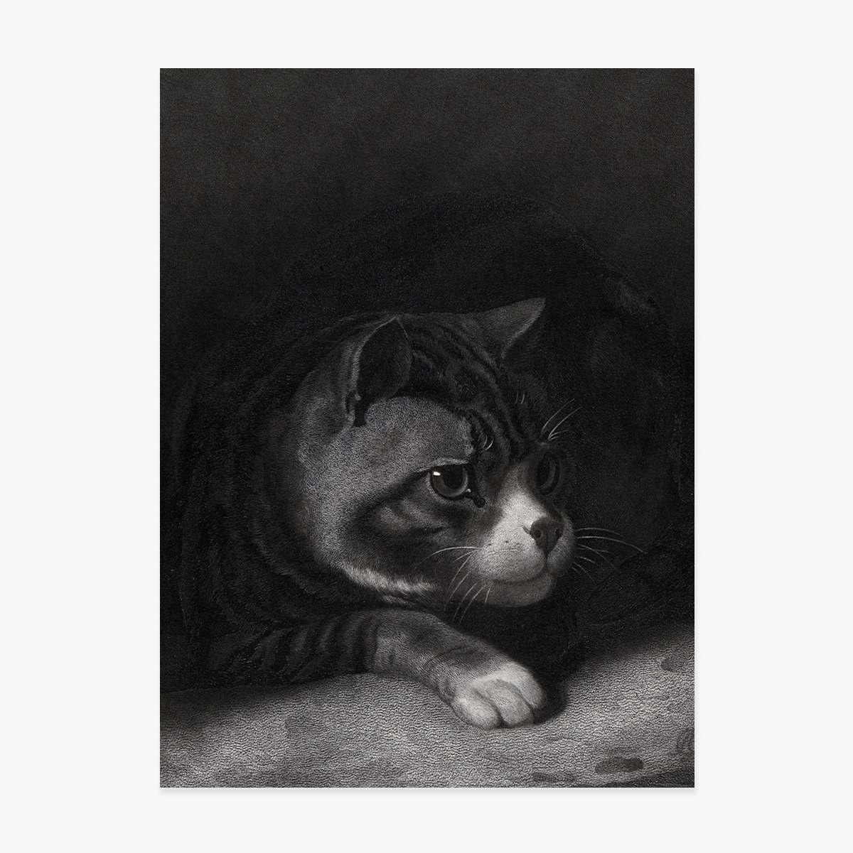 Poster di William Gil, Il gatto vigile che scruta tra le ombre, 1855