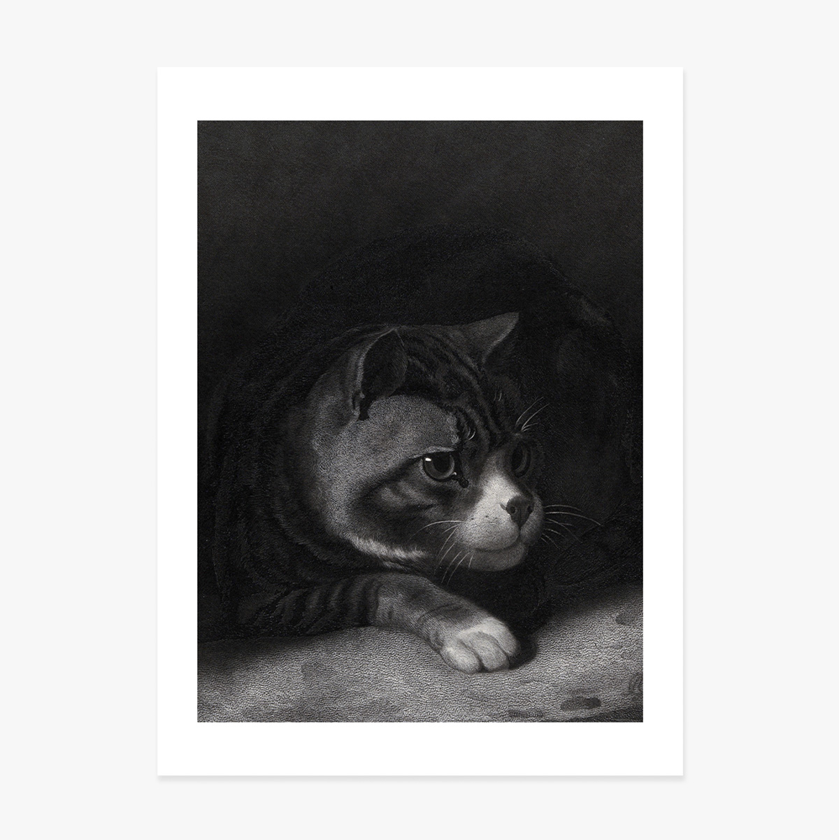 Poster di William Gil, Il gatto vigile che scruta tra le ombre, 1855